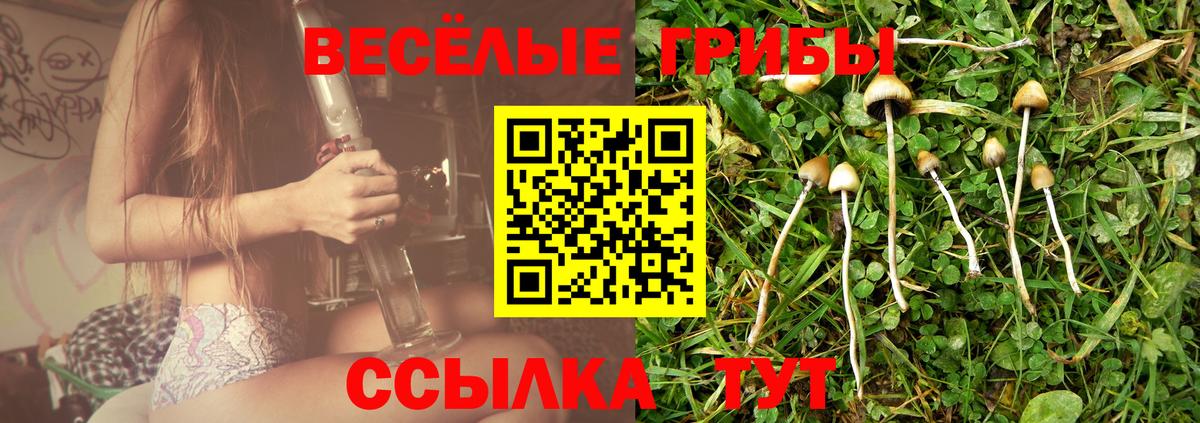 Елизово  Псилоцибиновые грибы прущие грибы  Вход с VPN 