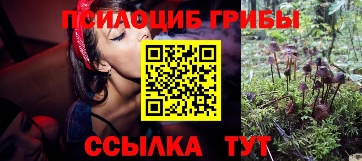 Галлюциногенные грибы мухоморы Елизово